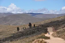 Et c'est partie pour la redescente vers Puerto Acosta. Vu la piste, nous sommes content d'avoir évité la pluie de la veille
