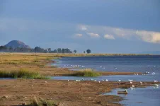 Balade au bord du lac un peu avant le soleil couchant