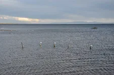 Balade au bord du lac un peu avant le soleil couchant