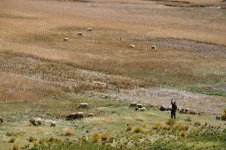 Même hors de portée de voix, les locaux sont super accueillants
