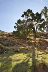 À l'est du lac Titicaca