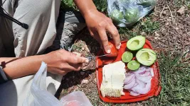 Le sandwich "completo", on ne change pas une équipe qui gagne