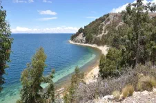 Ambiance plage tropicale, mais il fait froid