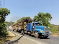 camion de transport de canne à sucre