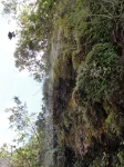 Chute d'eau rafraichissante au bord de la route