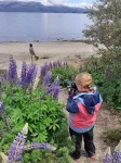 au bord du lac Alumine