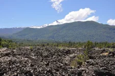 Coulée de lave provenant du Llaima qui culmine à 3125 mètres d'altitude