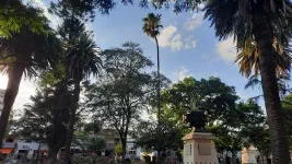 Salta