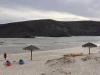 El Tecolote