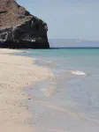 El Tecolote