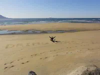quand Olivier n'a pas son seau pour faire des patés, il s'amuse autrement