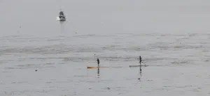Des paddle-board, nous en avons vu sur toutes les plages californienne