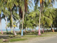 Cahuita, chez Luis