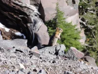 Photo — Crater Lake, épisodes 1 et 2