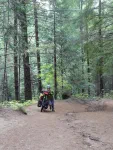 VTL : Vélo Très Lourd
