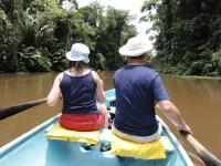 Les aventuriers de la jungle