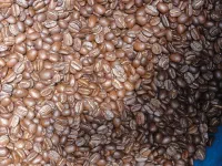 Café torrefié. Ici, la torréfaction s'appelle "beneficio", soit l'étape de la production d'où on tire le plus grand bénéfice