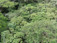 Parc Selvatura, Santa Elena