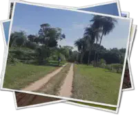 Featured image of post Des escargots au four - thermostat 5