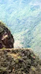 "La fourmi ne vient-elle pas à bout de la montagne ?" Napoléon Bonaparte Tseu