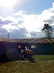 Sendamal
