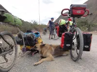 Rex, qui nous a accompagné durant 30 kilomètres... quelle endurance !