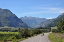 Et c'est reparti pour de la piste