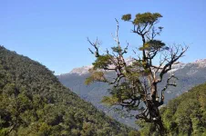 Innombrables cascades