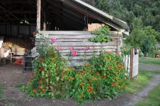 Camping Girasol, au sur de la Junta