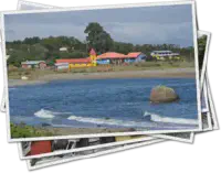 Featured image of post Entre forĂŞts, fjords et volcans