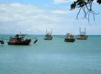 Le petit port de pêche