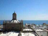 Las palmas de Gran Canaria