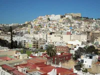 Las palmas de Gran Canaria