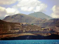 Las palmas de Gran Canaria