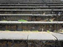 commune de Monte, Funchal