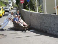 Les "cestinhos" en action !