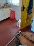 Maylo