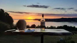 Le melon, c'est le verre de vin. Pratique : ça fait moins de vaisselle
