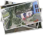 Featured image of post Llegamos