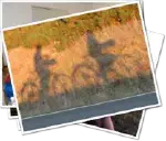 Featured image of post On ze West Coast !