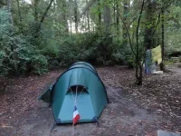 Camping de Jedediah Smith Redwood SP