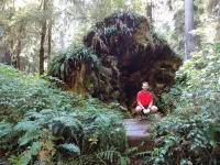 L'Homme des Bois