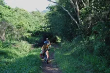 Une partie en single-track (vocabulaire pour les experts, sinon on parlera de petit chemin étroit)