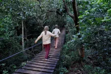 Pont artisanal en fil de fer + bois