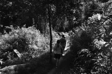 Balade en forêt dans le parc Ybycui