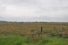 Vers El Carmen de Parana