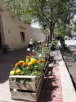Cafayate