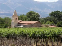 Petit village au milieu des vignes.