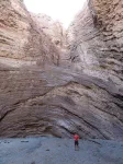 El Anfiteatro