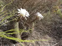 C'est le printemps on vous dit !
